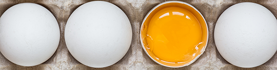omega-3 eggs and yolk