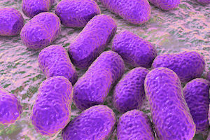 superbugs