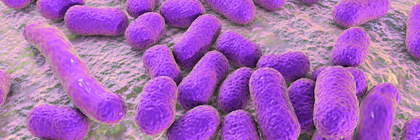 superbugs