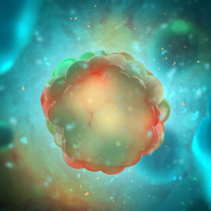 3D cancer cells