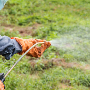 spraying herbicide