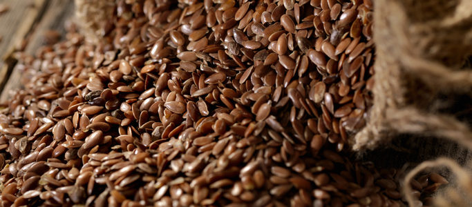 flax seed