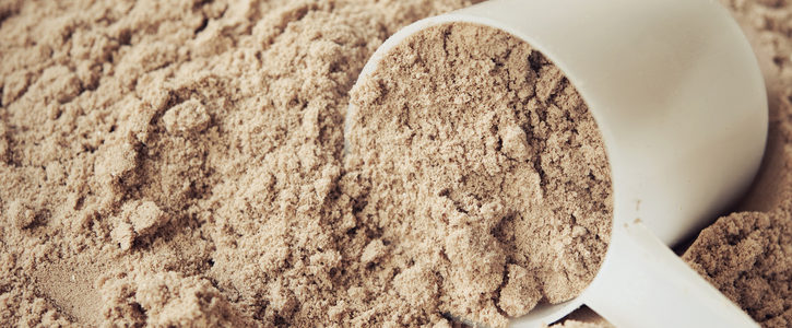 chocolate protein powder