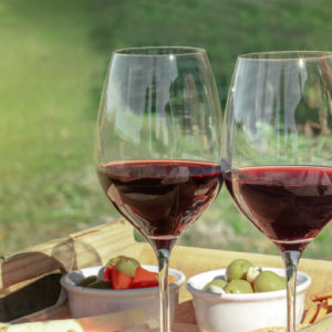 picnic with two glasses of red wine