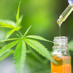 cannabis cbd oil